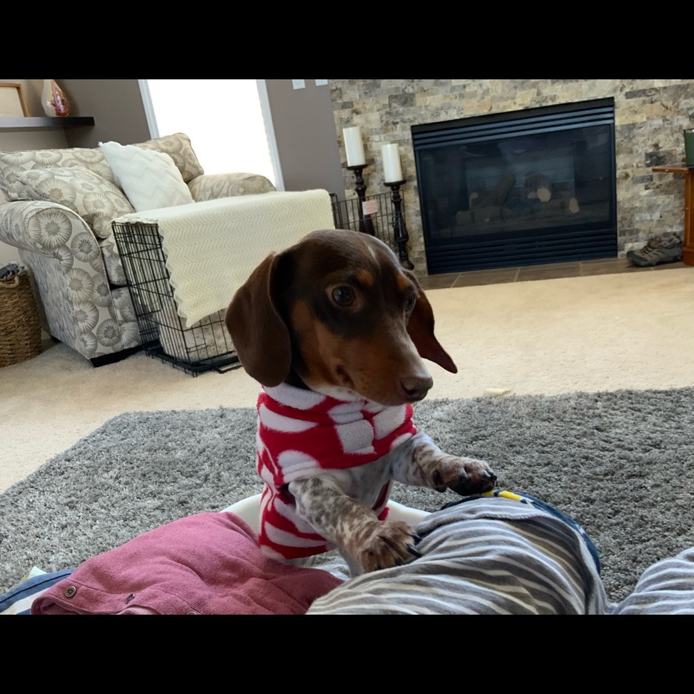 Meet your Posher, Jeni